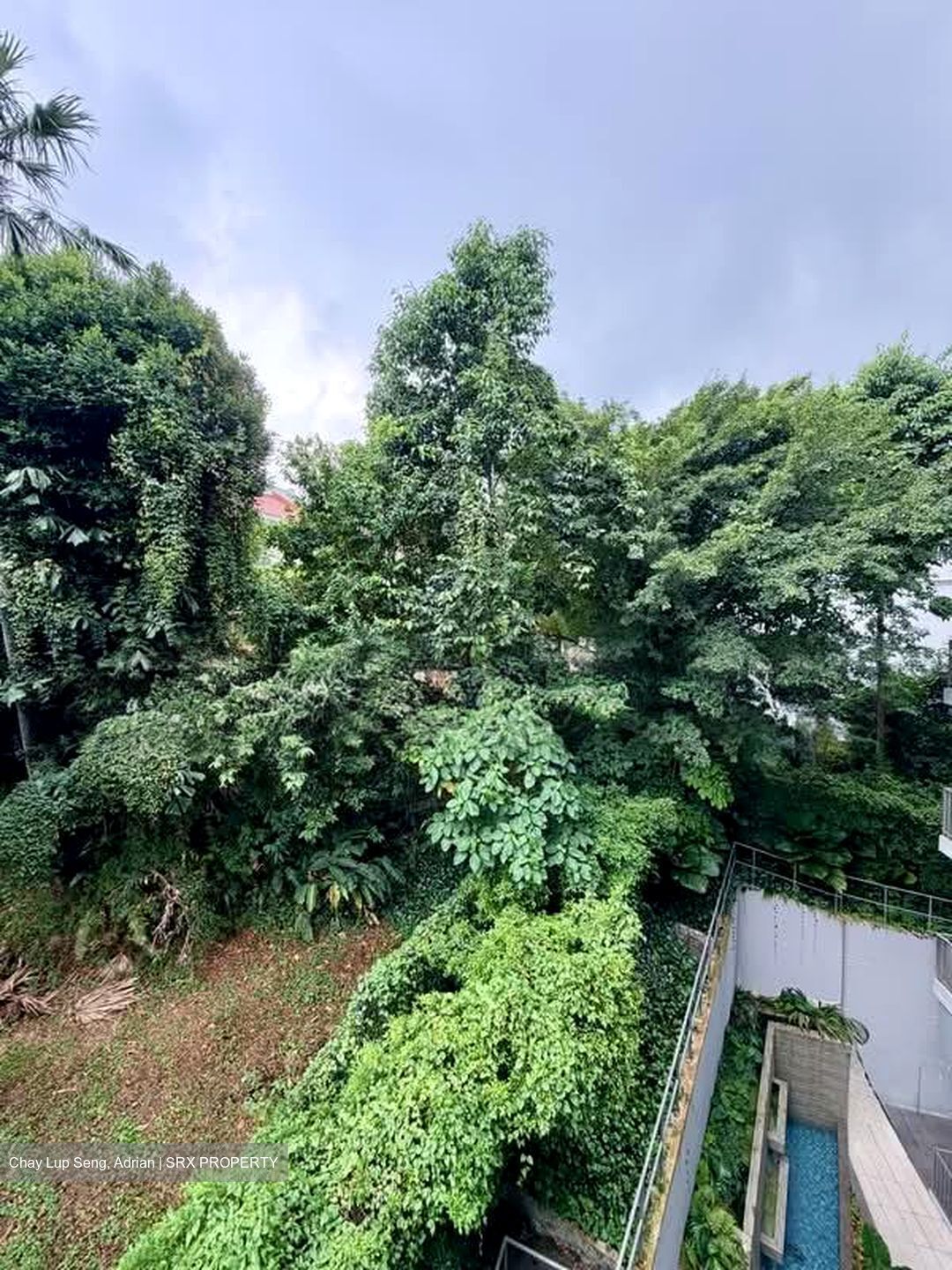 Dunearn 386 (D11), Apartment #602300291
